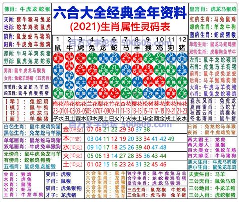 24年生肖|2024完整生肖表图 正宗版2024生肖卡表